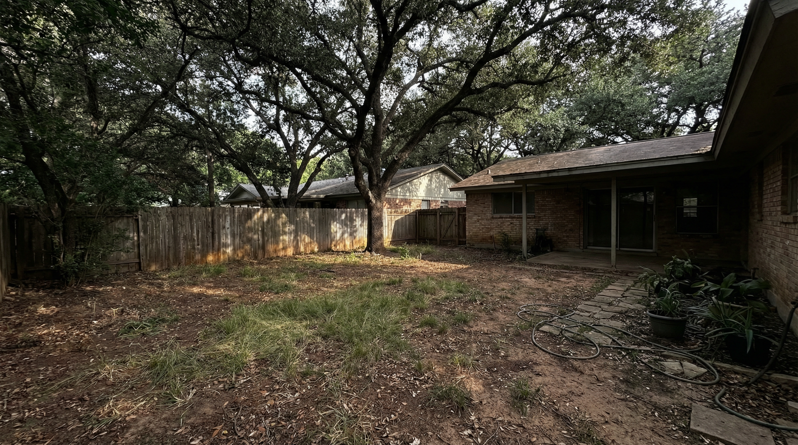 The Shady Backyard Solution - Before
